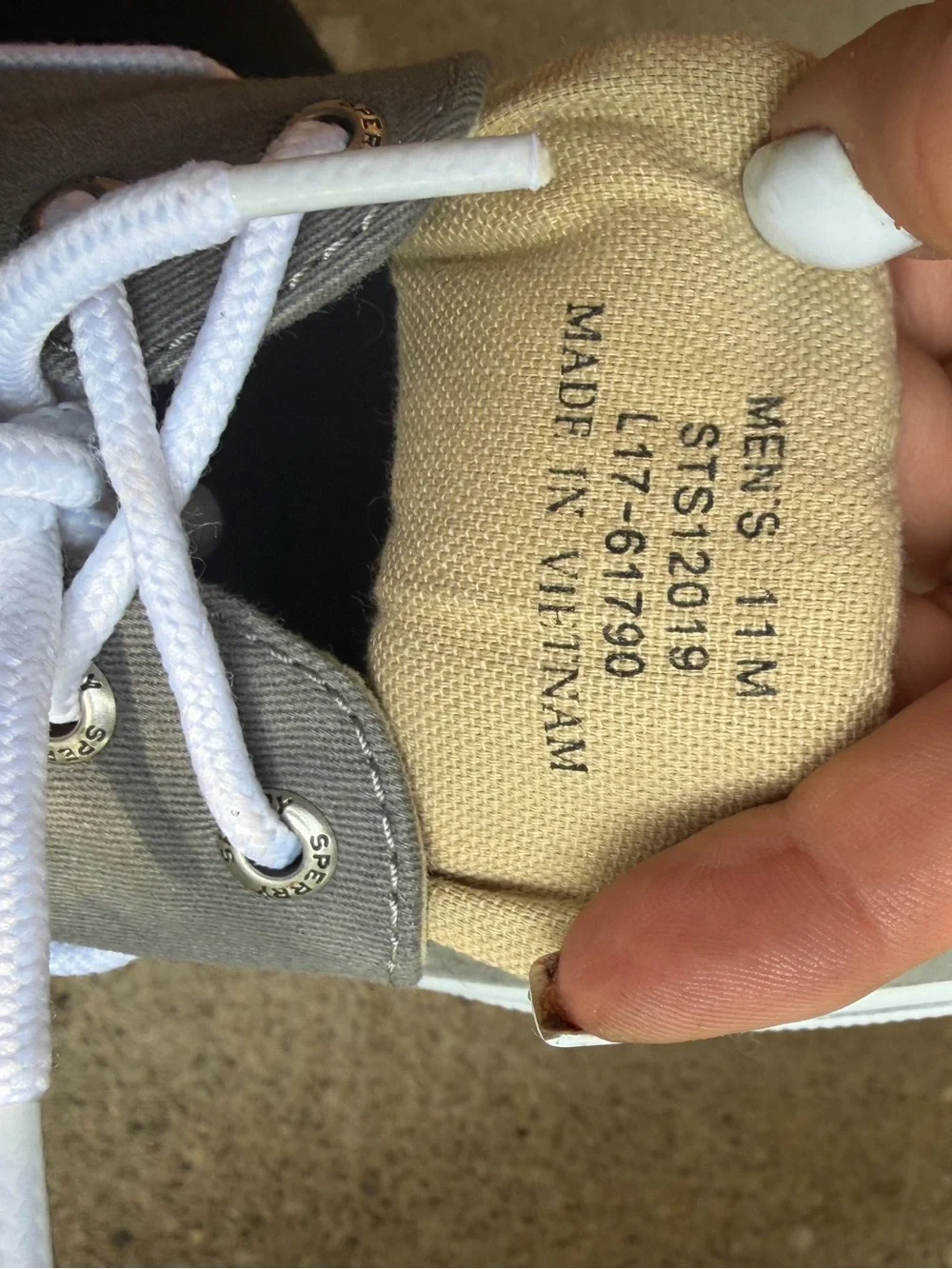 Sperry overview halyard